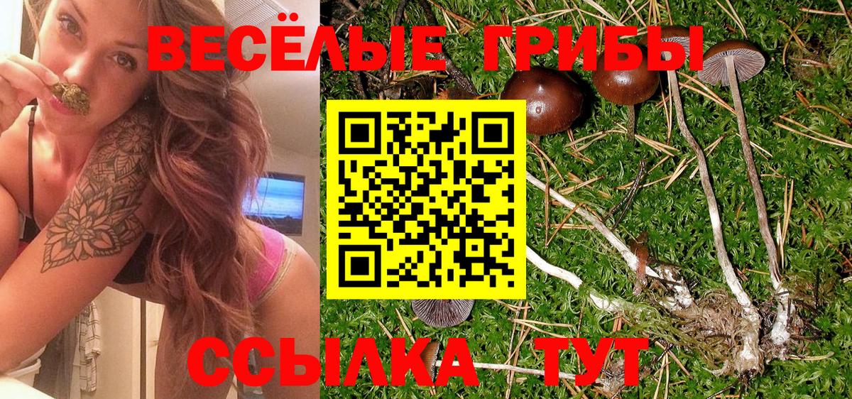 Галлюциногенные грибы MAGIC MUSHROOMS Когалым