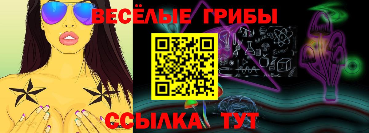 Псилоцибиновые грибы Psilocybe Когалым